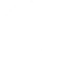 Rust Preset Icon